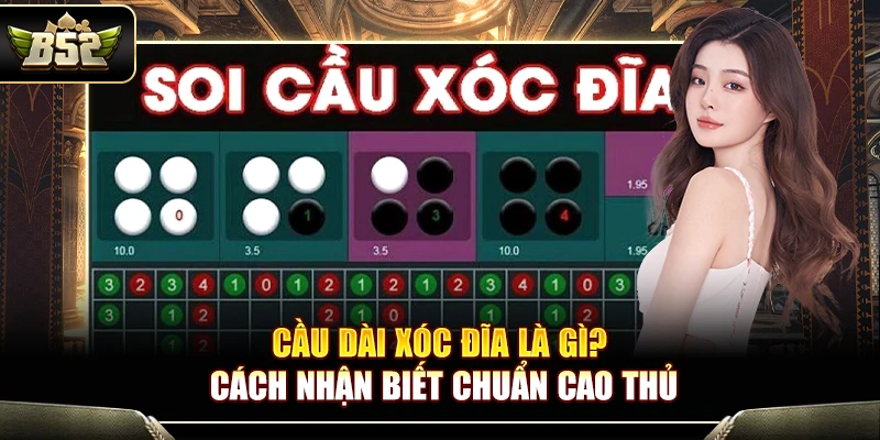Cầu Dài Xóc Đĩa Là Gì? Cách Nhận Biết Chuẩn Cao Thủ